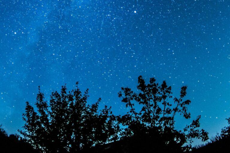 Observer et écouter la nuit